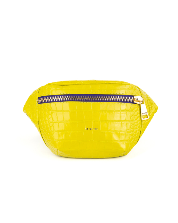 "On Fleek" Fluo Lime Belt Bag with Golden Zipper